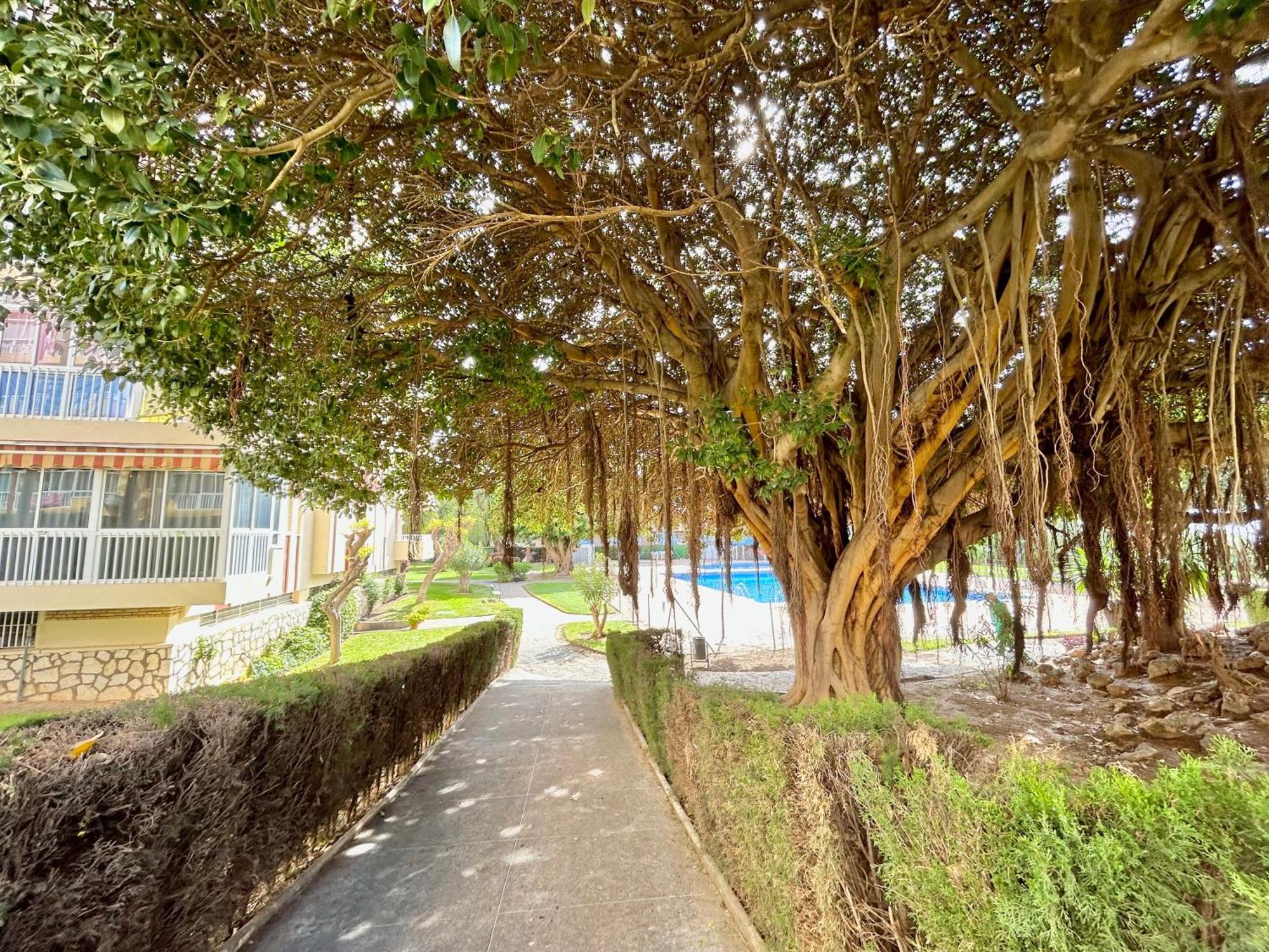 Hoja De Palma Apartamento Benalmádena Exterior foto