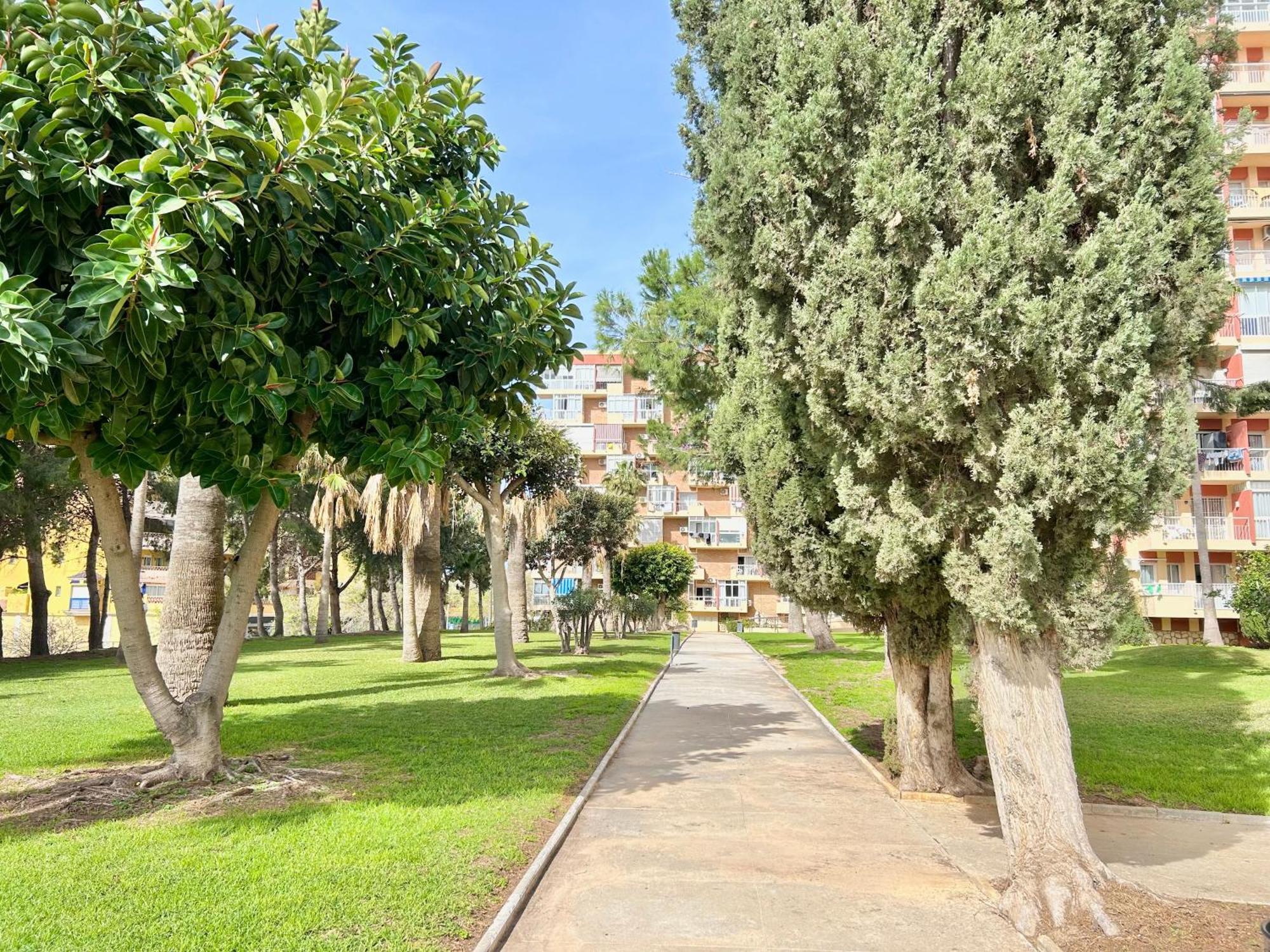 Hoja De Palma Apartamento Benalmádena Exterior foto