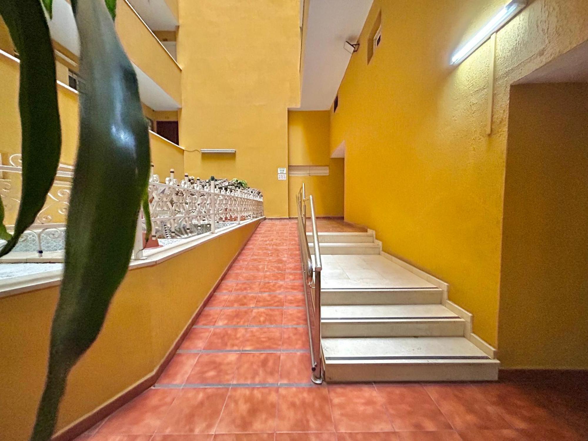 Hoja De Palma Apartamento Benalmádena Exterior foto